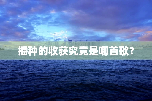 播种的收获究竟是哪首歌？