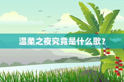 温柔之夜究竟是什么歌？