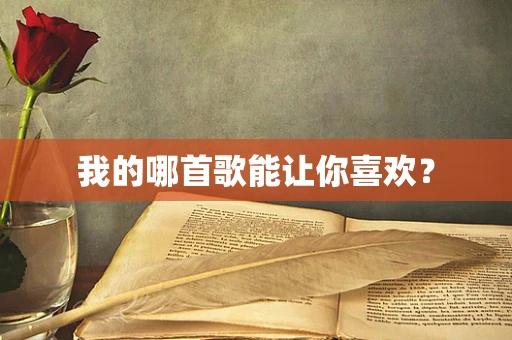 我的哪首歌能让你喜欢？