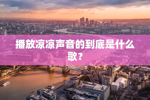 播放凉凉声音的到底是什么歌？