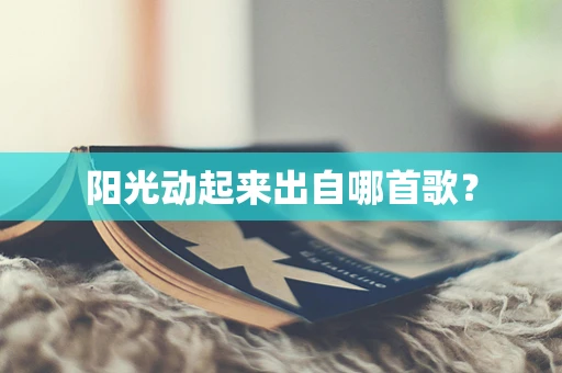 阳光动起来出自哪首歌？