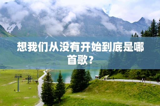想我们从没有开始到底是哪首歌？
