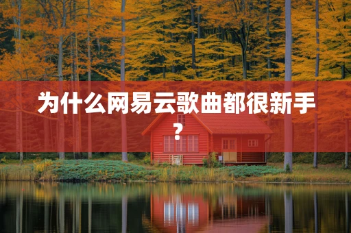 为什么网易云歌曲都很新手？