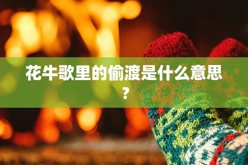 花牛歌里的偷渡是什么意思？