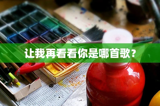 让我再看看你是哪首歌？