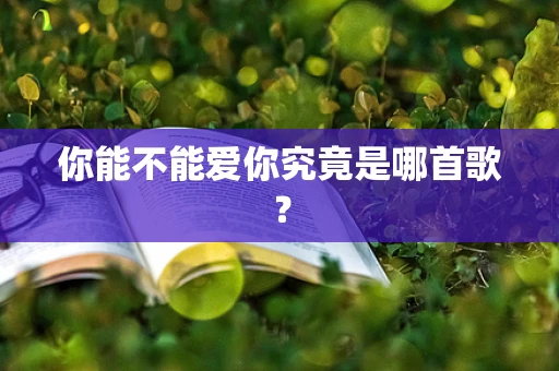 你能不能爱你究竟是哪首歌？