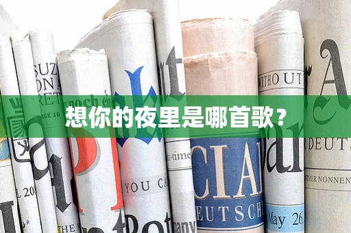 想你的夜里是哪首歌？