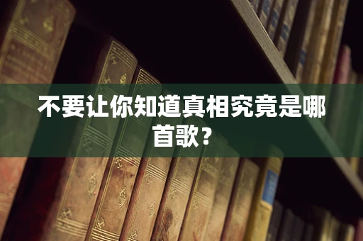 不要让你知道真相究竟是哪首歌？