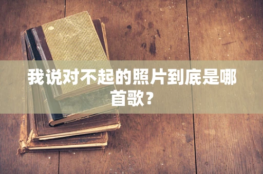 我说对不起的照片到底是哪首歌？