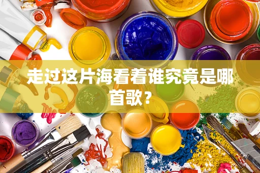 走过这片海看着谁究竟是哪首歌？