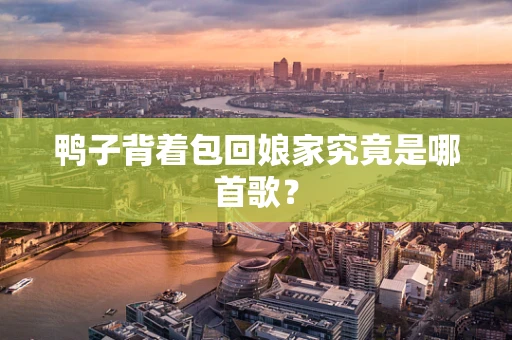 鸭子背着包回娘家究竟是哪首歌？