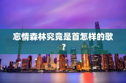 忘情森林究竟是首怎样的歌？