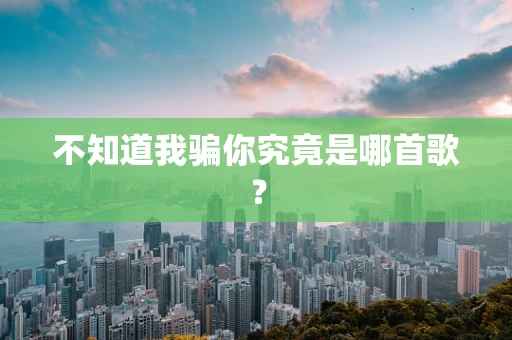 不知道我骗你究竟是哪首歌？