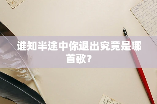 谁知半途中你退出究竟是哪首歌？