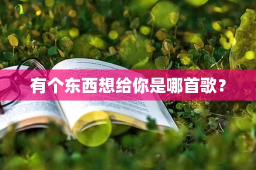 有个东西想给你是哪首歌？