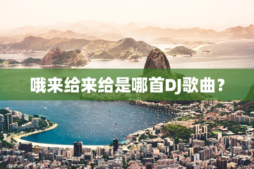 哦来给来给是哪首DJ歌曲？