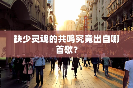 缺少灵魂的共鸣究竟出自哪首歌？