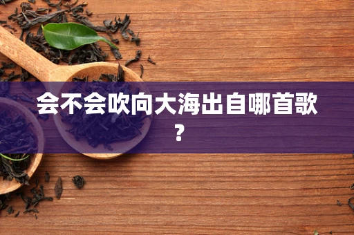 会不会吹向大海出自哪首歌？