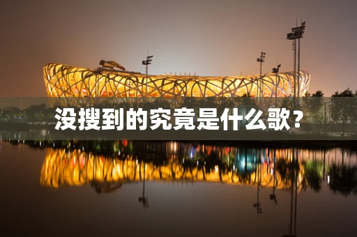 没搜到的究竟是什么歌？