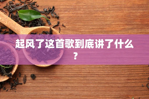 起风了这首歌到底讲了什么？