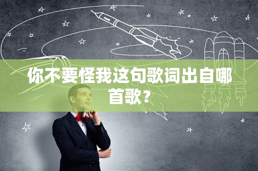 你不要怪我这句歌词出自哪首歌？