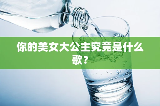 你的美女大公主究竟是什么歌？