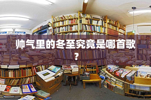帅气里的冬至究竟是哪首歌？