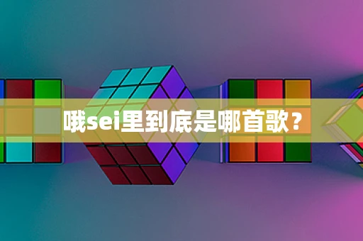 哦sei里到底是哪首歌？