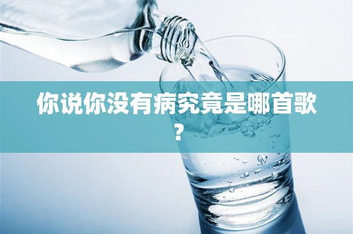 你说你没有病究竟是哪首歌？