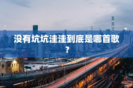 没有坑坑洼洼到底是哪首歌？