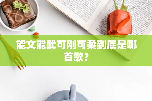 能文能武可刚可柔到底是哪首歌？