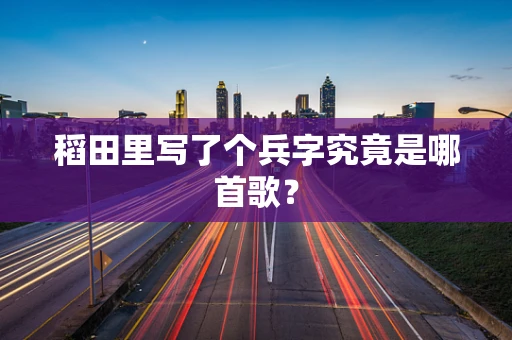 稻田里写了个兵字究竟是哪首歌？