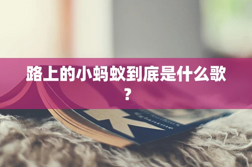 路上的小蚂蚁到底是什么歌？