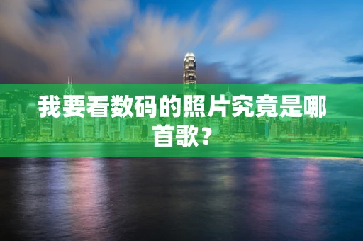 我要看数码的照片究竟是哪首歌？