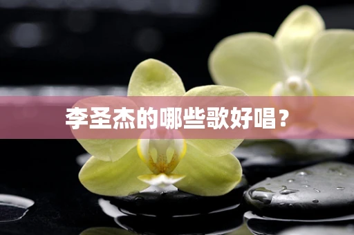 李圣杰的哪些歌好唱？