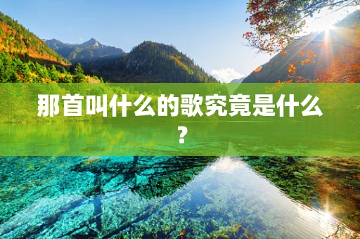 那首叫什么的歌究竟是什么？