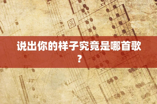 说出你的样子究竟是哪首歌？