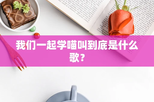 我们一起学喵叫到底是什么歌？