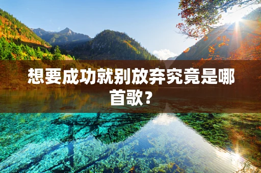 想要成功就别放弃究竟是哪首歌？