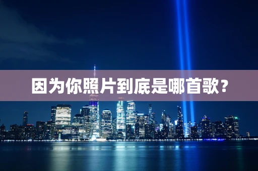 因为你照片到底是哪首歌？