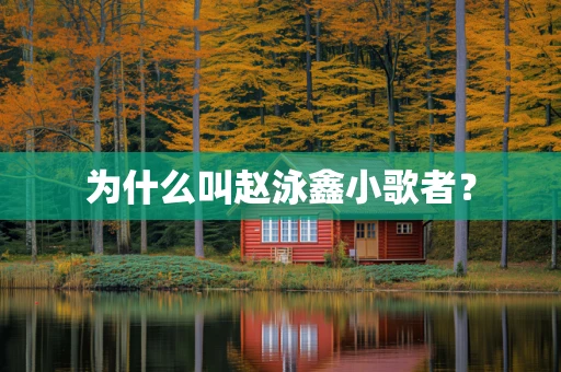 为什么叫赵泳鑫小歌者？