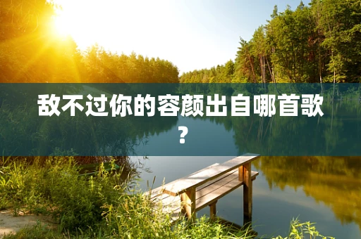 敌不过你的容颜出自哪首歌？