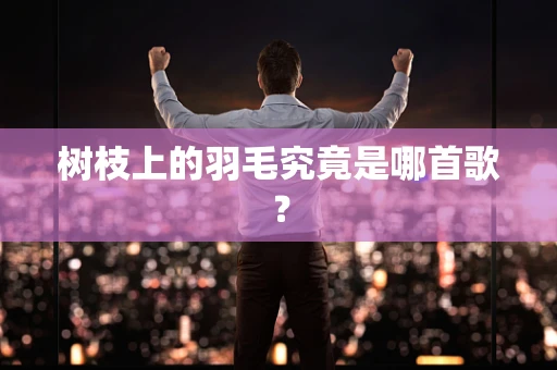 树枝上的羽毛究竟是哪首歌？