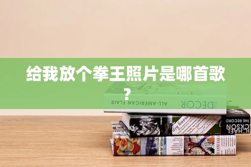 给我放个拳王照片是哪首歌？