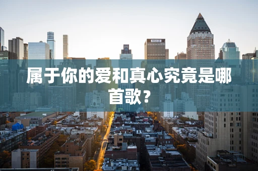 属于你的爱和真心究竟是哪首歌？