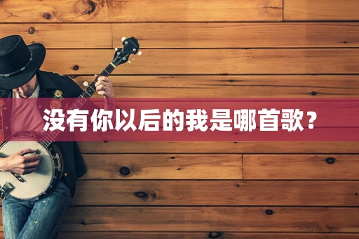 没有你以后的我是哪首歌？