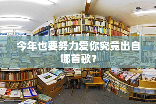 今年也要努力爱你究竟出自哪首歌？