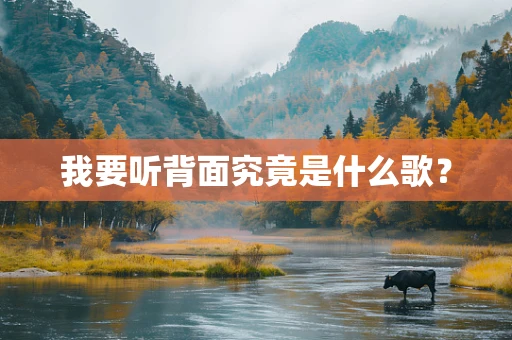 我要听背面究竟是什么歌？