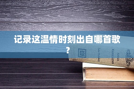 记录这温情时刻出自哪首歌？