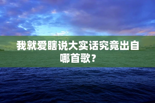 我就爱瞎说大实话究竟出自哪首歌？